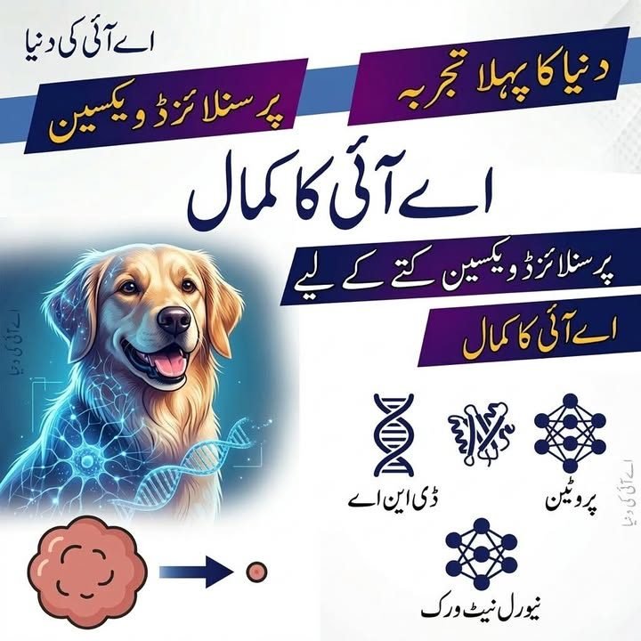 اے آئی کی مدد سے کتے کے لیے دنیا کی پہلی ذاتی نوعیت کی کینسر ویکسین تیار